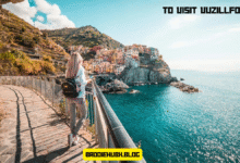 to visit vuzillfotsps